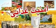 اختصاص ۵۰ همت به بخش امنیت غذایی کشور