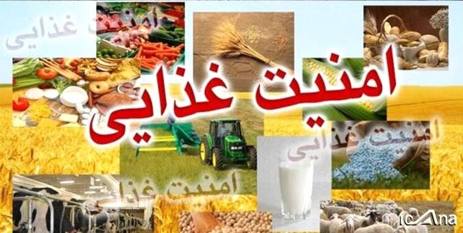 اختصاص ۵۰ همت به بخش امنیت غذایی کشور