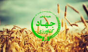 روشنگری وزارت جهاد کشاورزی در خصوص واردات نهاده‌های دامی