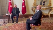 رئیس مجلس شورای اسلامی با اردوغان دیدار کرد