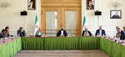 تاکید نمایندگان مجلس و امیرعبداللهیان بر تدوین قانون جامع حمایت از ایرانیان خارج از کشور
