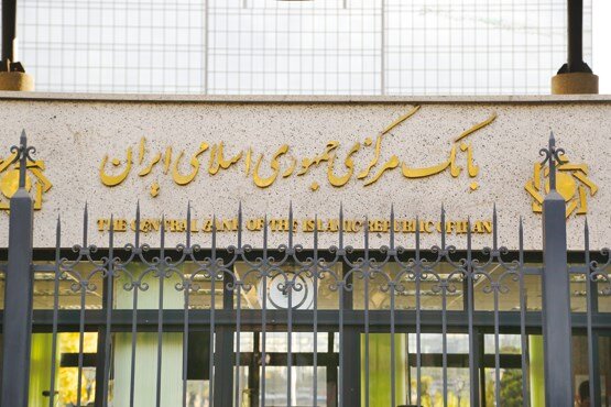 رفتار دوگانه بانک مرکزی در تخصیص ارز به واردات کالا 