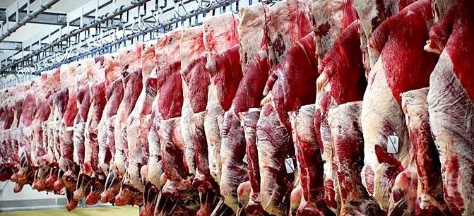 گوشت ‌های وارداتی بیش از ۴۰ درصد چربی دارند