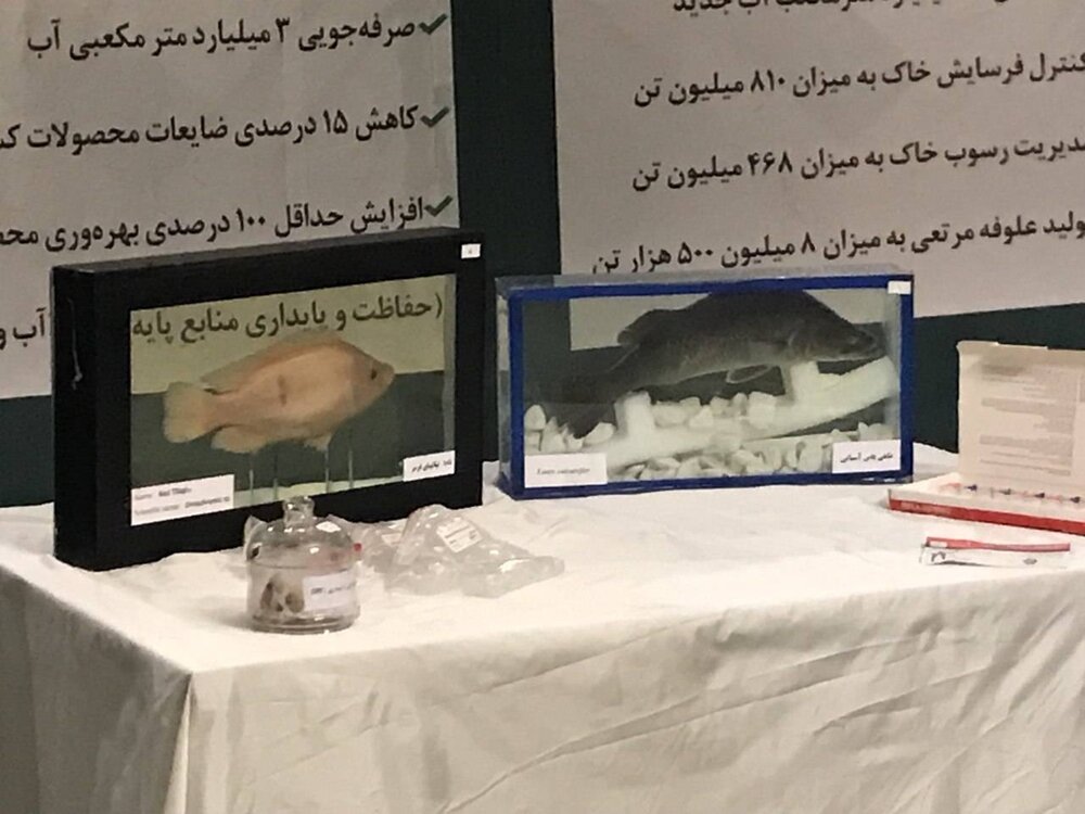 نمایش آخرین دستاوردهای چهار وزارتخانه در لابی مجلس+ عکس