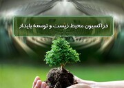 جلسه ویژه فراکسیون محیط زیست مجلس برای مرگ یوز ایرانی امروز برگزار می‌شود