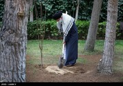 غرس نهال توسط رهبر انقلاب به مناسبت روز درختکاری