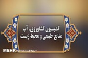 ورود کمیسیون کشاورزی به پرونده واردات گوشت