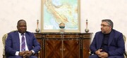 نقش مجالس ایران و سنگال در تقویت همکاری‌ها دو کشور تاثیرگذار است