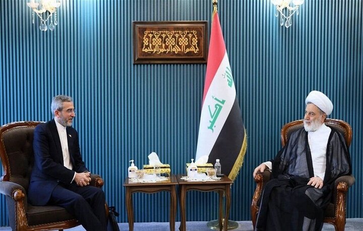 رئیس مجلس اعلای اسلامی عراق از مواضع ایران قدردانی کرد