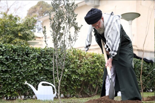 به مناسبت روز درختکاری و هفته منابع طبیعی