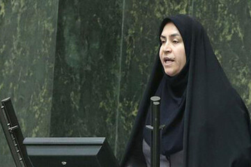 مقصودی: غفلت را کنار بگذارید و از تمدن کهن ایران صیانت کنید