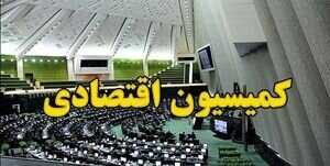 بررسی برنامه‌ها و صلاحیت «مدنی‌زاده» در کمیسیون اقتصادی