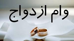 حادثه بندر شهید رجایی کار دست خانم وزیر داد/ واکنش رئیس مجلس به لفاظی‌های بی‌بی