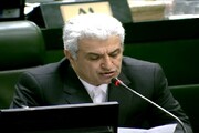 علیجانی: نمایندگان با توجه به مشکلات معیشتی وزیر پیشنهادی اقتصاد را انتخاب کنند