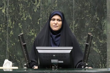 چشم نظارتی مجلس بر دولت همچنان باز است