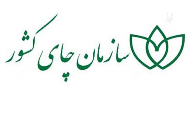 انتقاد دو نماینده مجلس از طرح دولت برای انحلال سازمان چای