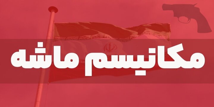 فعال شدن اسنپ‌بک و تعلیق همکاری‌ها/ واکنش قاطع مجلس و شورای عالی امنیت ملی