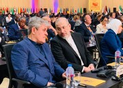 حضور هیئت عالی دیوان محاسبات کشور در اجلاس شرم‌الشیخ مصر