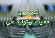 کمیسیون ویژه حمایت از تولید لایحه بودجه را بررسی می‌کند