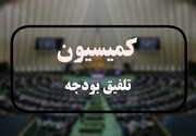 تعیین مبلغ وام ازدواج و فرزندآوری به کمیسیون تلفیق ارجاع شد