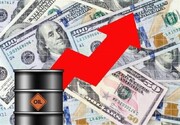 دولت ترامپ سناریوی نفت 200 دلاری را بررسی می‌کند