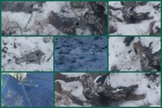 انهدام یک فروند موشک کروز در روستای جاسب