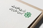 وزارت اطلاعات: ۱۹ عامل دشمن در ۵ استان دستگیر شدند