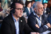 حضور زارع در کمیته دائمی صلح و توسعه پایدار