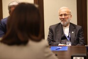 دیدار متکی و معاون اجرایی IPU