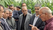 تدوین نقشه راه توسعه کشاورزی سمیرم با همکاری وزارت جهادکشاورزی/ رفع موانع تولید در صنایع تبدیلی و گلخانه‌ای