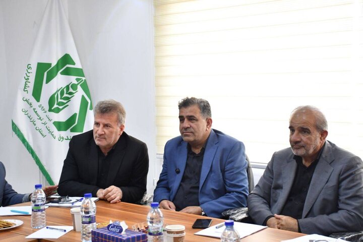 نقش صندوق توسعه کشاورزی در اشتغال پایدار و امنیت غذایی مازندران پررنگ‌تر می‌شود