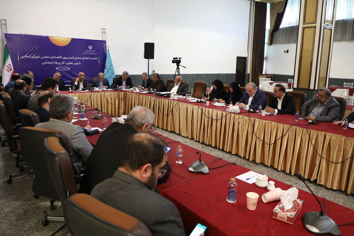 نشست کمیسیون اقتصادی مجلس با وزیر تعاون، کار و رفاه اجتماعی