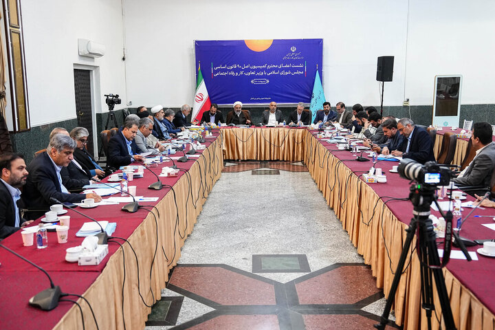 نشست کمیسیون اصل نود مجلس با وزیر کار