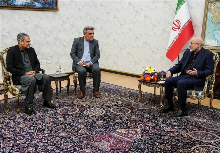 دیدار وزیر کشور پاکستان با رئیس مجلس