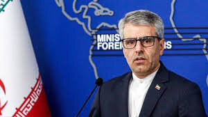 بقائی: ناکامی آلمان در شورای امنیت، نتیجه رویکرد ریاکارانه برلین است
