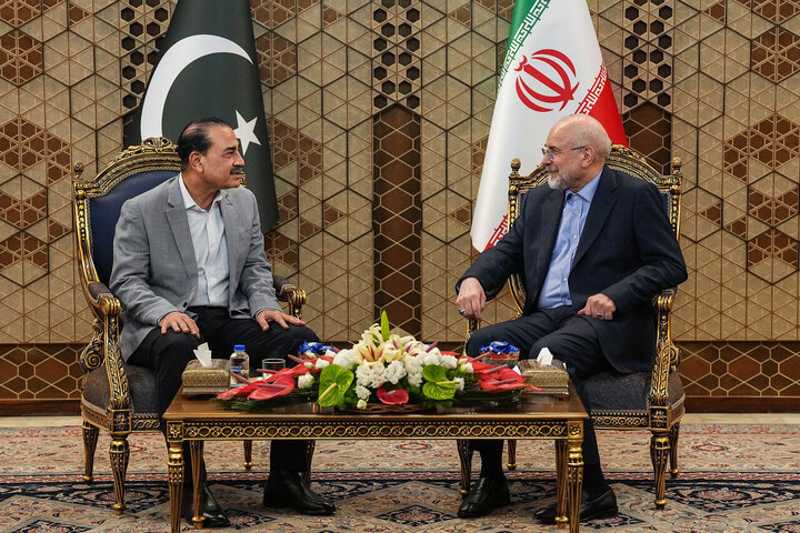 دیدار فرمانده ارتش پاکستان با رییس جمهور