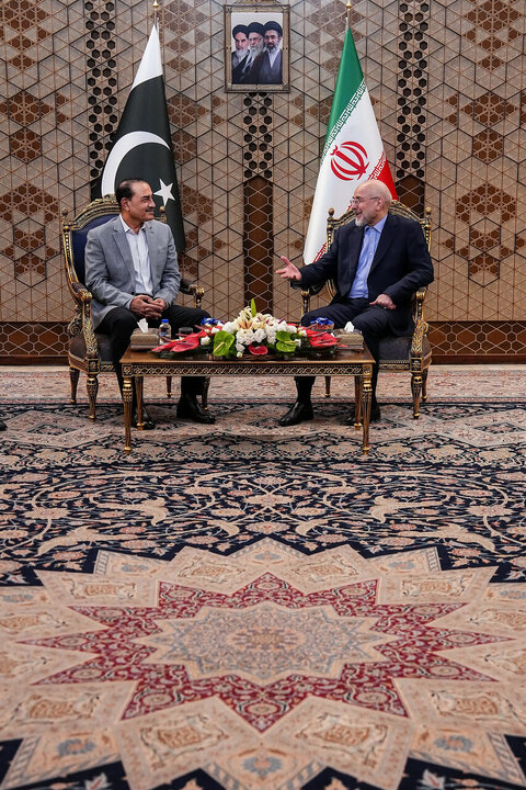 دیدار فرمانده ارتش پاکستان با رییس جمهور