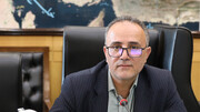 علیمردانی: سهم ۸۰ درصدی کالاهای غیررسمی در بازار آرایشی نگران‌کننده است/ پیگیری مجلس برای تفکیک معیشت کولبران از قاچاق
