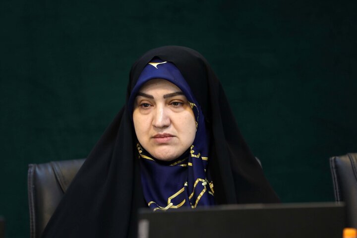 نشست وبیناری مجلس