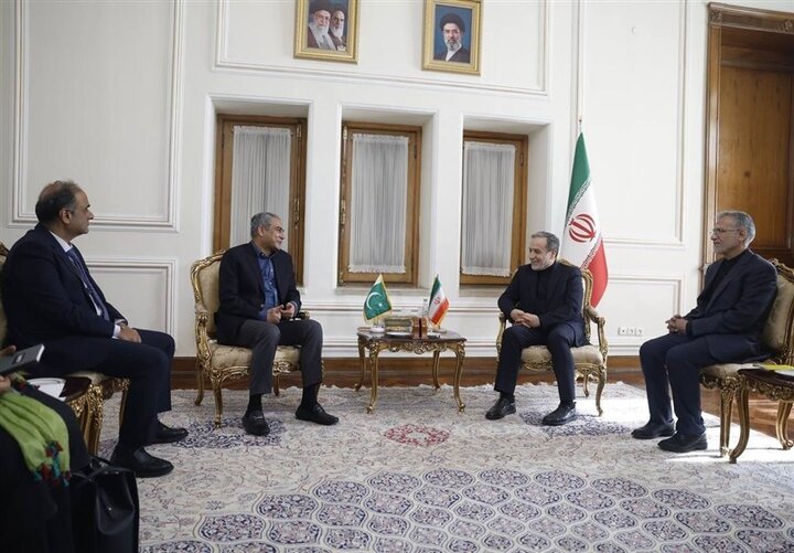 دیدار وزیر کشور پاکستان با عراقچی