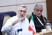 نشست کمیسیون امور داخلی کشور و شوراهای مجلس با وزیر بهداشت