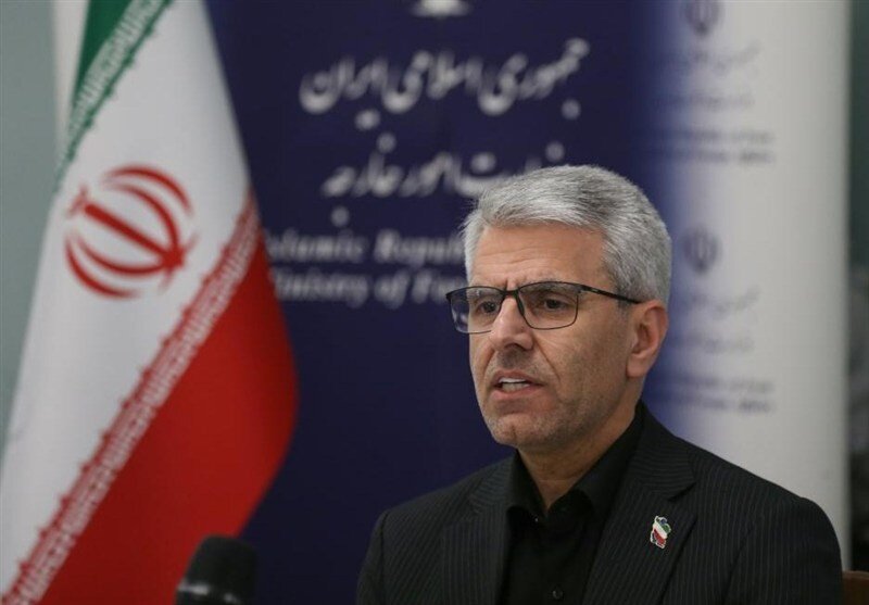 بقائی:کشورهای منطقه نمی‌توانند به تامین امنیت از سوی آمریکا متکی باشند