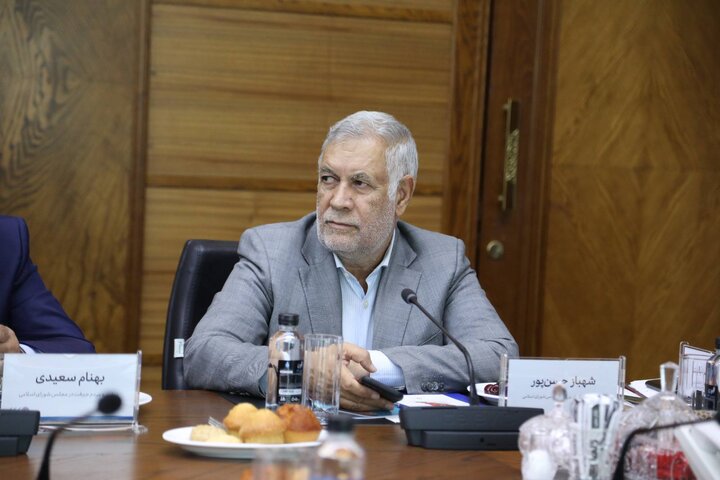 حسن‌پور: گروه مالی گردشگری الگوی موفق سرمایه‌گذاری خصوصی در کرمان است