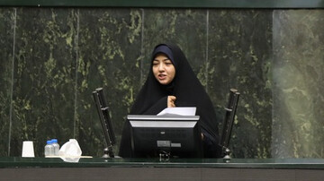 سعیدی: اقدامات ستاد تنظیم بازار برای مقابله با «انفجار گرانی» کافی نیست/ دولت باید با تشکیل ستاد بحران، به داد صنایع آسیب‌دیده برسد