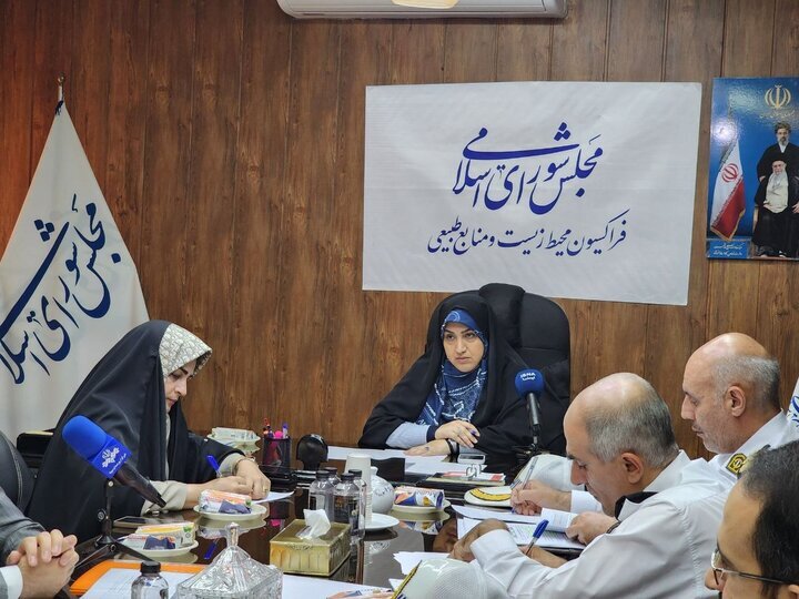 رفیعی: خلأ هماهنگی دولت و نبود مشوق‌های مالی، مانع اسقاط خودروهاست/ وضعیت ناوگان مسافربری فاجعه است 