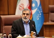 کمالوندی: منافعمان را به دست خواهیم آورد
